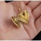 Gold heart including chain. Steel/gold