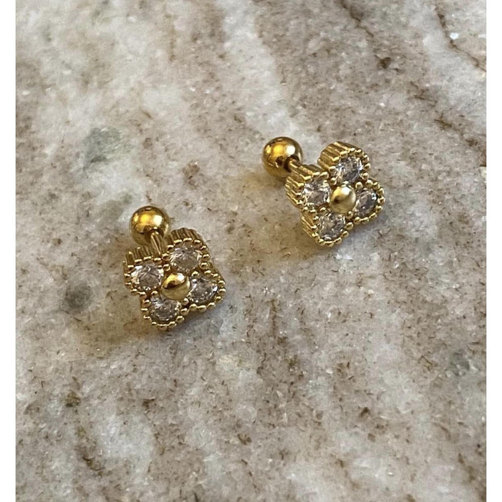 Cliff earrings with screw cap Steel/gold
